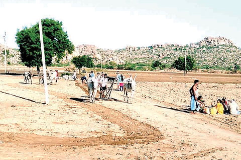Siriguppa Sowing