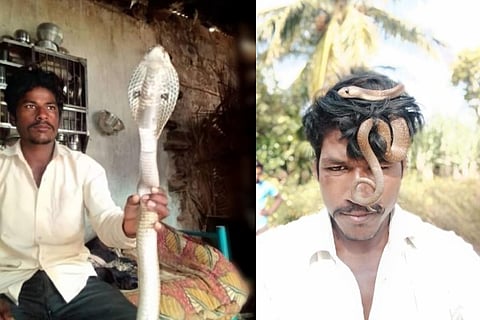 Snake Catcher