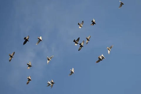 Untitled-1