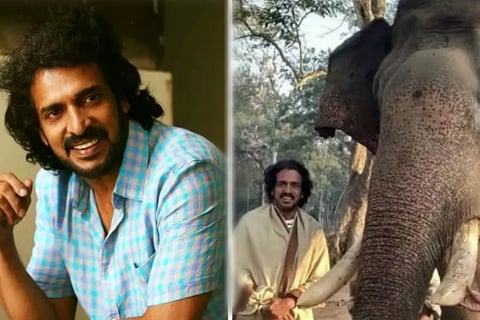 Uppi