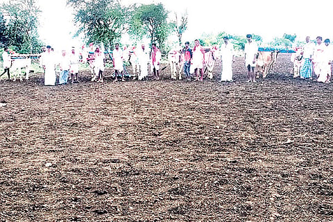 Vandal Villagers Sowing Record