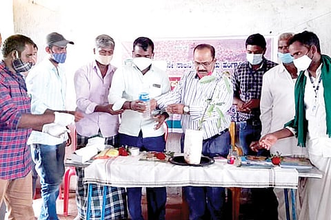 Yalaburga Seedling movement