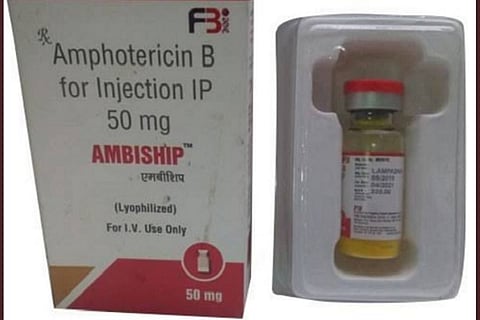 amphotericin1