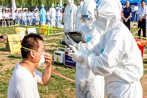 bird flu