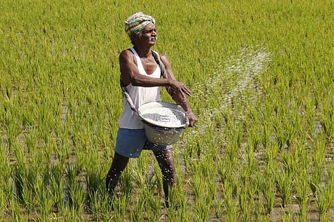farmers