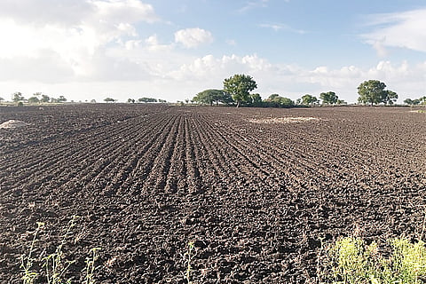 h1- Agri Land 1