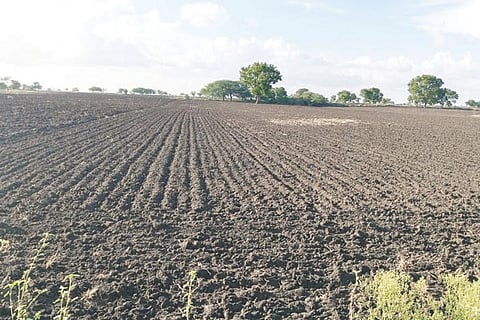h10- Sowing