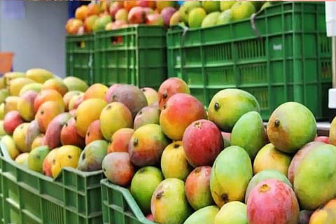 mango