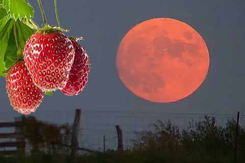 moon