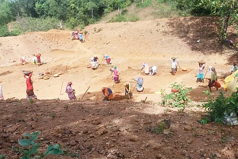 narega new