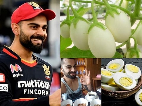 rcb kohli web