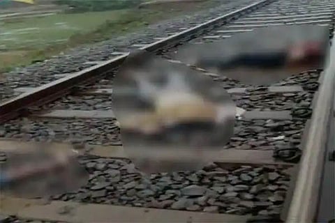 train