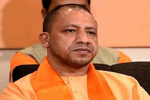 yogi