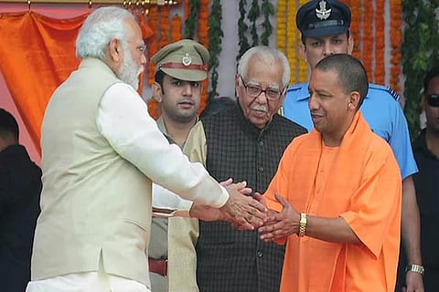 yogi