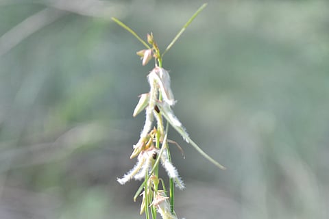 02Tmk_New_Plant_01