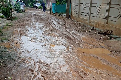 15ank news and photos 01(2)