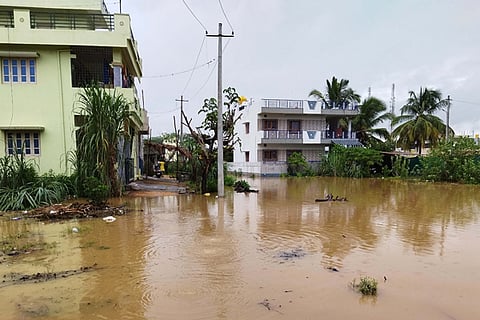18 bgp rain news photo (3)