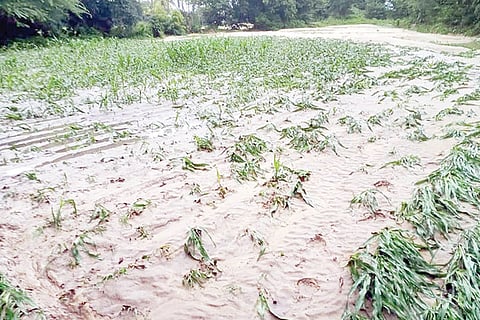 18072021 Harapanahalli Rain