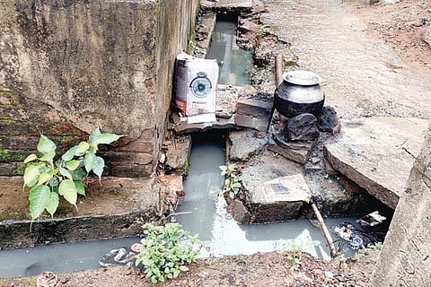 21Jaggu1A-Web