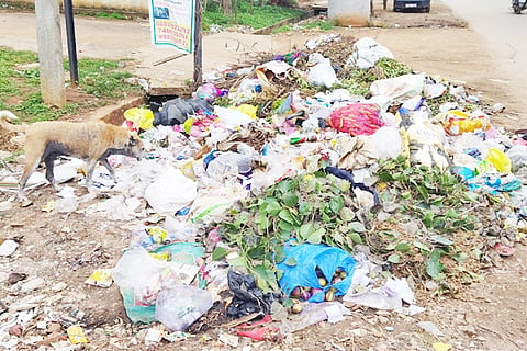 24 Sarjapura News And Photos 01 (01)