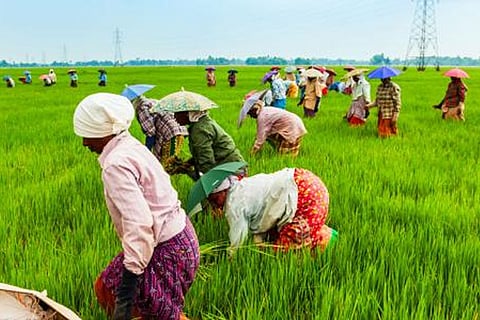 Agri