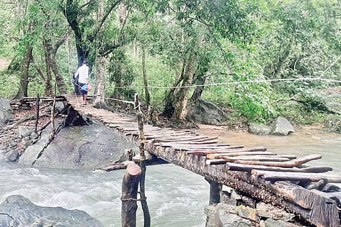 Bridge