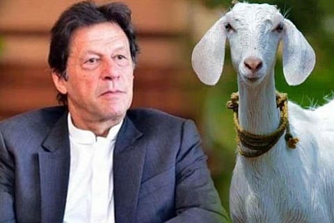 Imran Khan