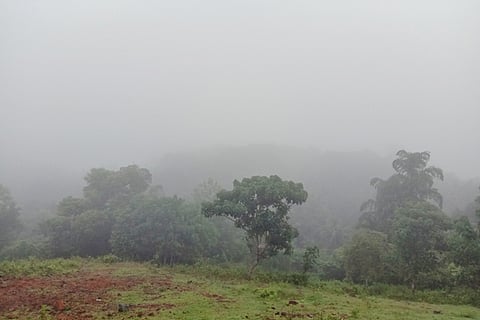 Mansoon mist