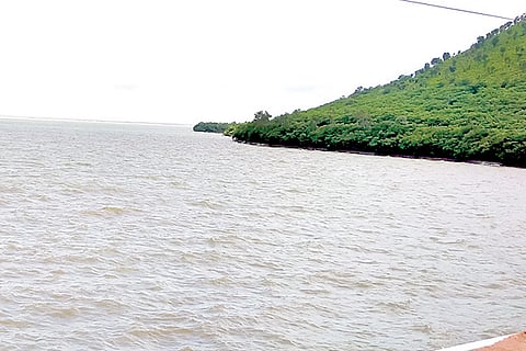 TB Dam backside
