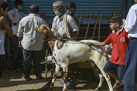 bakrid