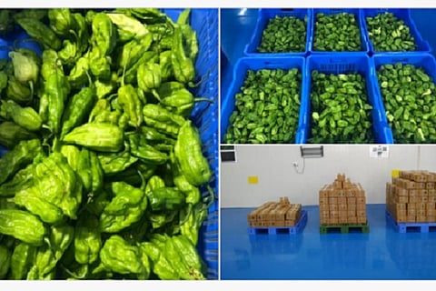 chillies