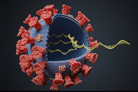 coronavirus