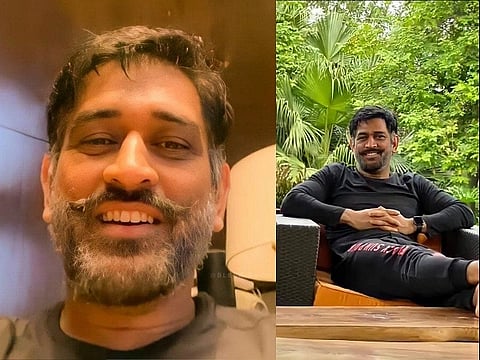 dhoni web