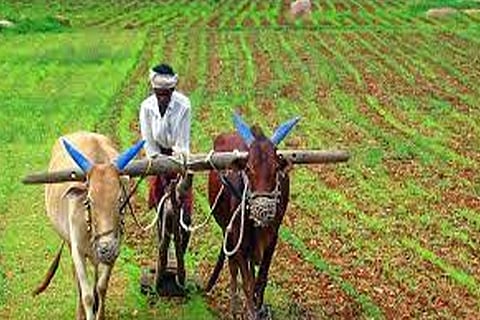 farmers
