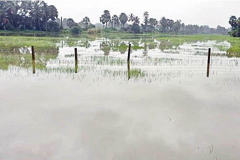 flood new