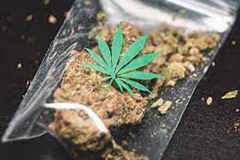 ganja