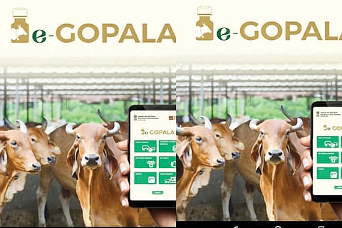 gopala