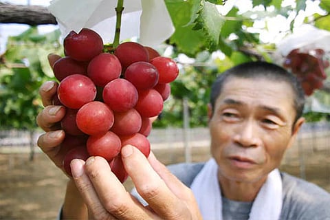 grapes