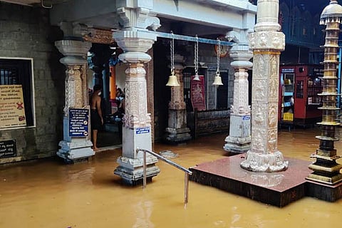 kamalashile web