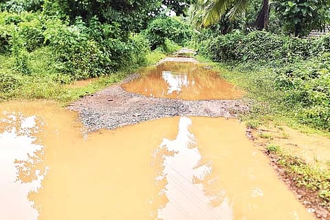 kdb road webbbb