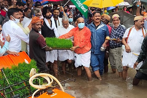 krishi web