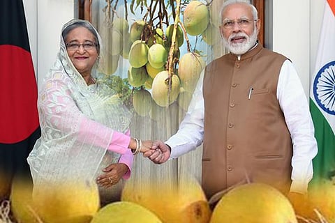 mango1