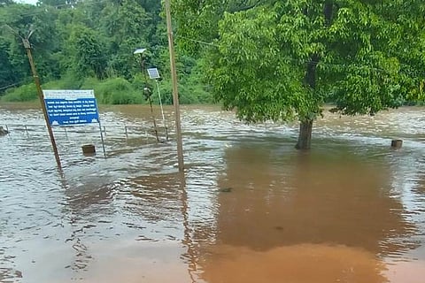 rain