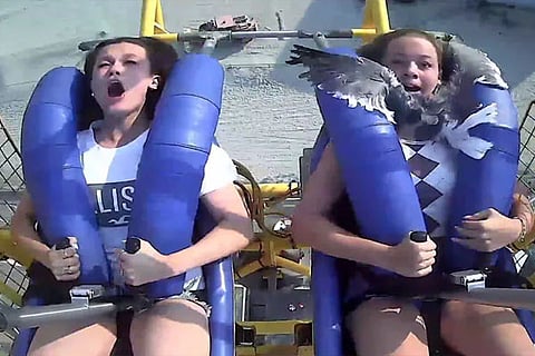roller coaster
