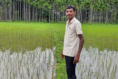 shetty