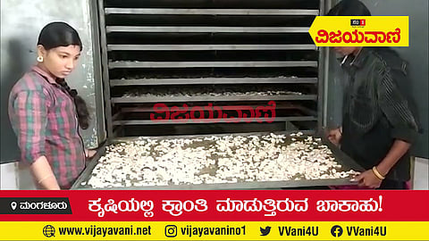 ರುಚಿಕರ ಮತ್ತು ಆರೋಗ್ಯದಾಯಕ ಬಾಕಾಹು! ತಯಾರಿಸುವುದೂ ಸುಲಭ! - youtube