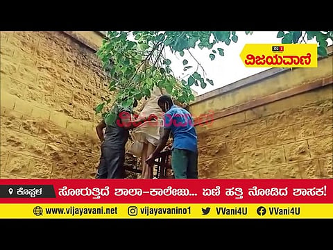 ಸೋರುತ್ತಿದೆ ಶಾಲೆ... ಏಣಿ ಹತ್ತಿ ನೋಡಿದ ಶಾಸಕ! - youtube