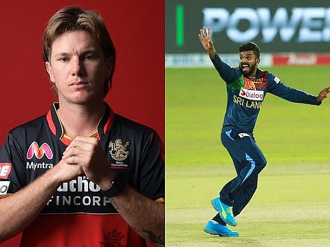 zampa and hasaranga for web