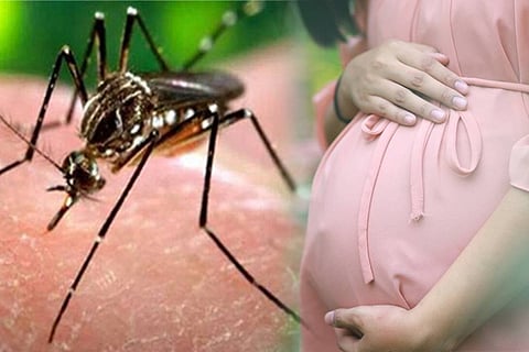 zika