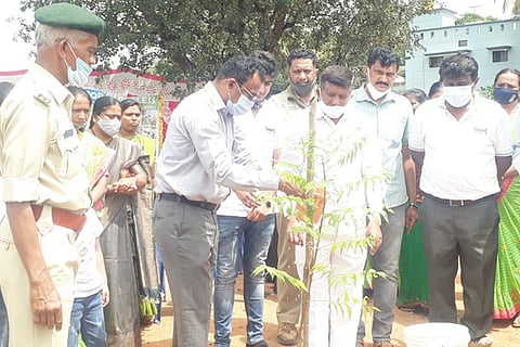 02TMK_Vanamahathsava 2